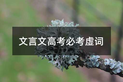 文言文高考必考虚词