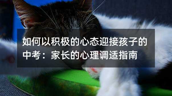如何以积极的心态迎接孩子的中考:家长的心理调适指南