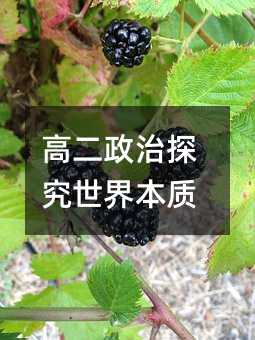 高二政治探究世界本质
