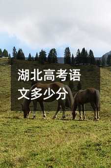 湖北高考语文多少分