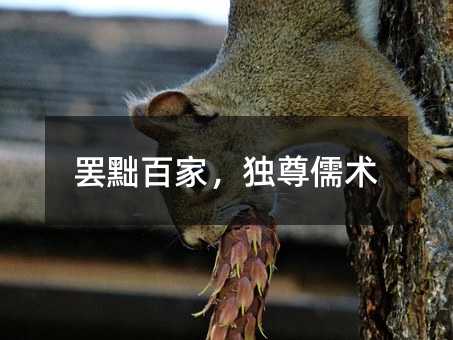 罢黜百家，独尊儒术