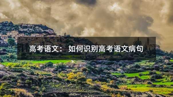 高考语文： 如何识别高考语文病句