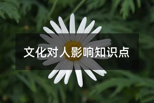 文化对人影响知识点