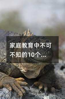家庭教育中不可不知的10个新方法