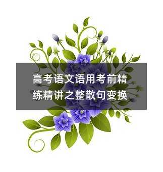 高考语文语用考前精练精讲之整散句变换