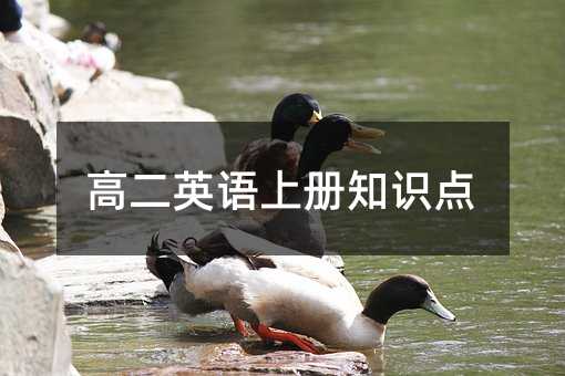 高二英语上册知识点