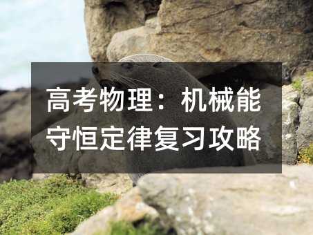 高考物理:机械能守恒定律复习攻略