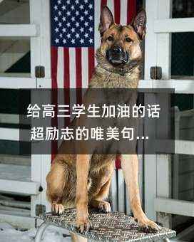 给高三学生加油的话 超励志的唯美句子推荐
