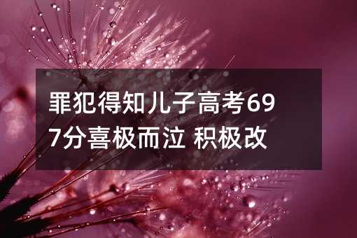 罪犯得知儿子高考697分喜极而泣 积极改造!