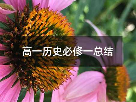 高一历史必修一总结