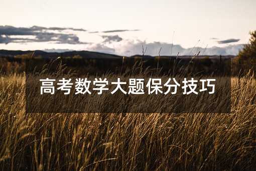 高考数学大题保分技巧