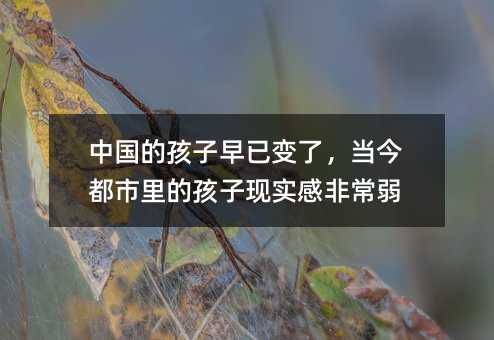 中国的孩子早已变了,当今都市里的孩子现实感非常弱