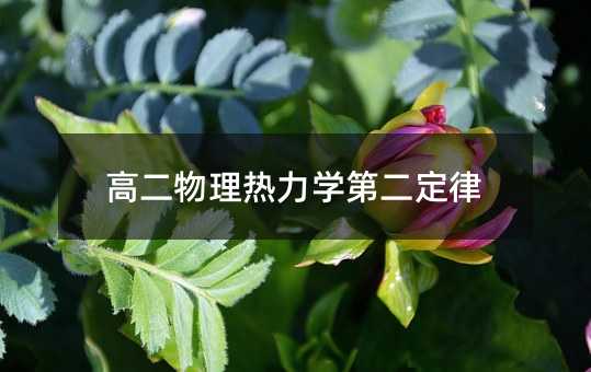 高二物理热力学第二定律