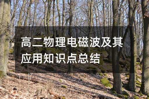 高二物理电磁波及其应用知识点总结