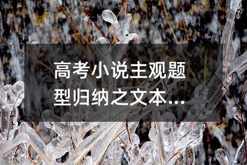 高考小说主观题型归纳之文本特征