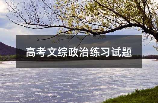 高考文综政治练习试题