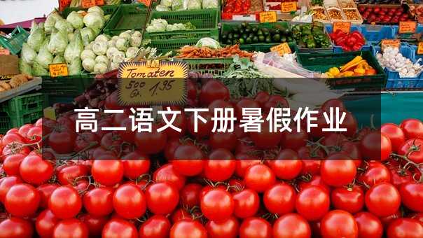 高二语文下册暑假作业