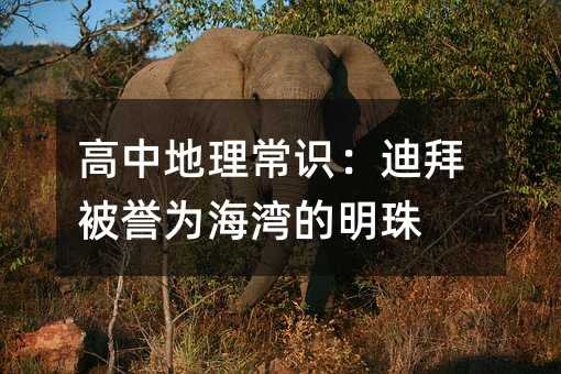 高中地理常识:迪拜被誉为海湾的明珠