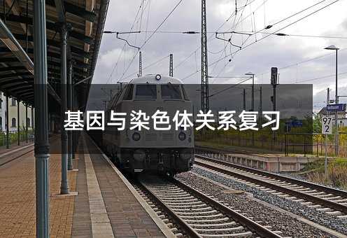基因与染色体关系复习