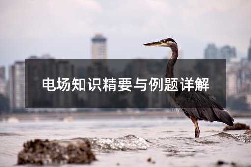 电场知识精要与例题详解