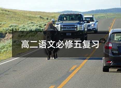 高二语文必修五复习