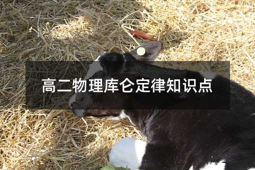 高二物理库仑定律知识点