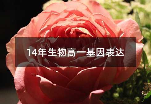14年生物高一基因表达