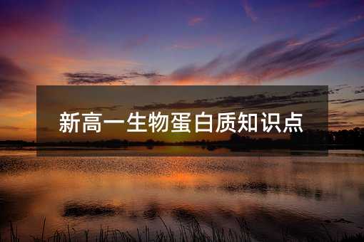 新高一生物蛋白质知识点