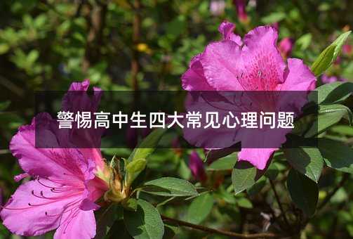 警惕高中生四大常见心理问题