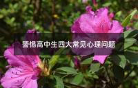 警惕高中生四大常见心理问题