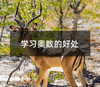 学习奥数的好处