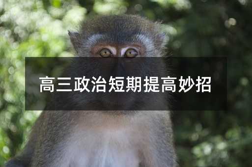 高三政治短期提高妙招