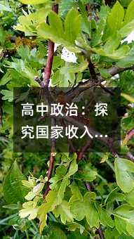高中政治:探究国家收入分配的原则与机制