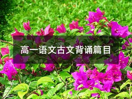 高一语文古文背诵篇目