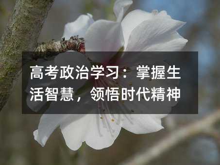高考政治学习：掌握生活智慧，领悟时代精神