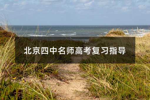 北京四中名师高考复习指导