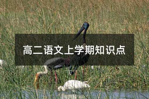 高二语文上学期知识点