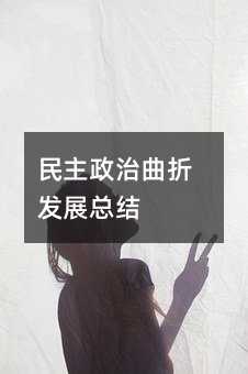民主政治曲折发展总结