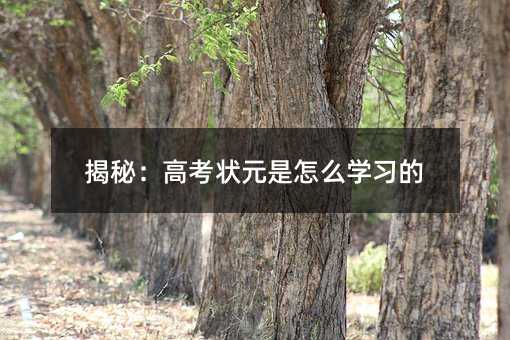 揭秘:高考状元是怎么学习的