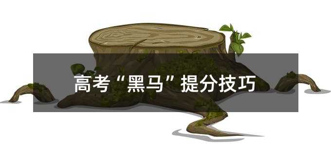 高考“黑马”提分技巧