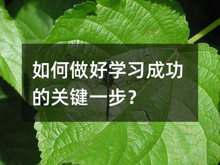 如何做好学习成功的关键一步?