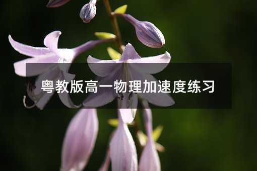 粤教版高一物理加速度练习