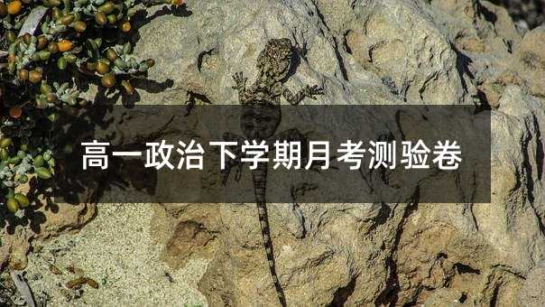 高一政治下学期月考测验卷