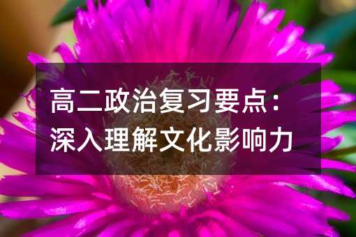高二政治复习要点:深入理解文化影响力