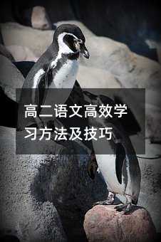 高二语文高效学习方法及技巧