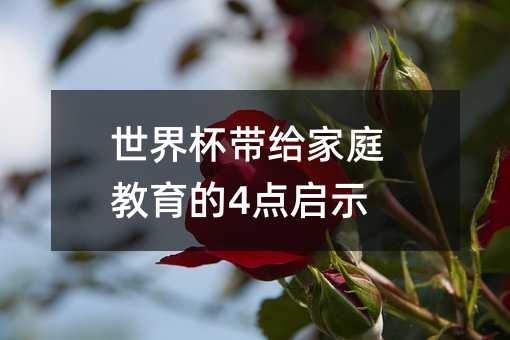 世界杯带给家庭教育的4点启示