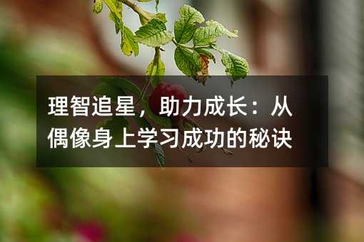 理智追星，助力成长：从偶像身上学习成功的秘诀