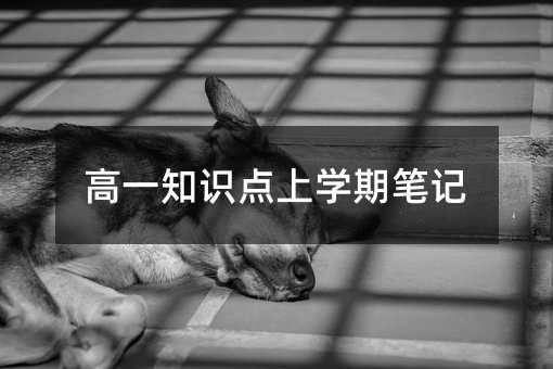 高一知识点上学期笔记