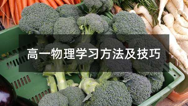 高一物理学习方法及技巧