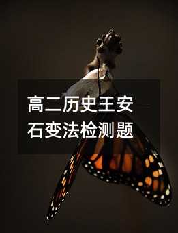高二历史王安石变法检测题